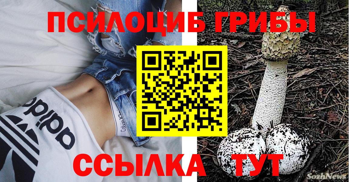 Псилоцибиновые грибы Magic Shrooms Краснодар